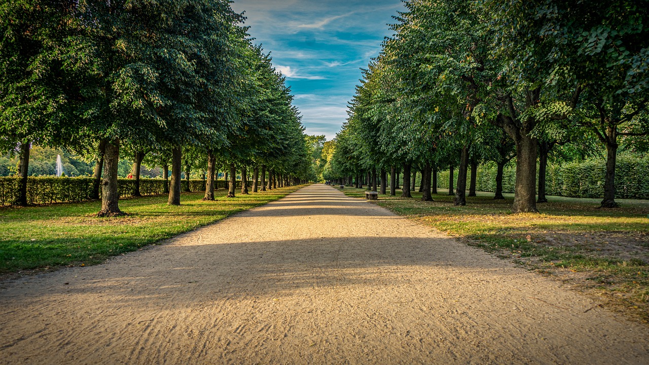 castle park, path, avenue-4500168.jpg